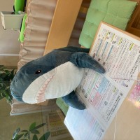 ikeaサメ＋パーテーション